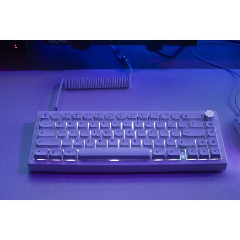 Custom modded mechanical keyboard GMK67 65% Lubed Switches thocky hot-swap RGB - Picture 6 of 10